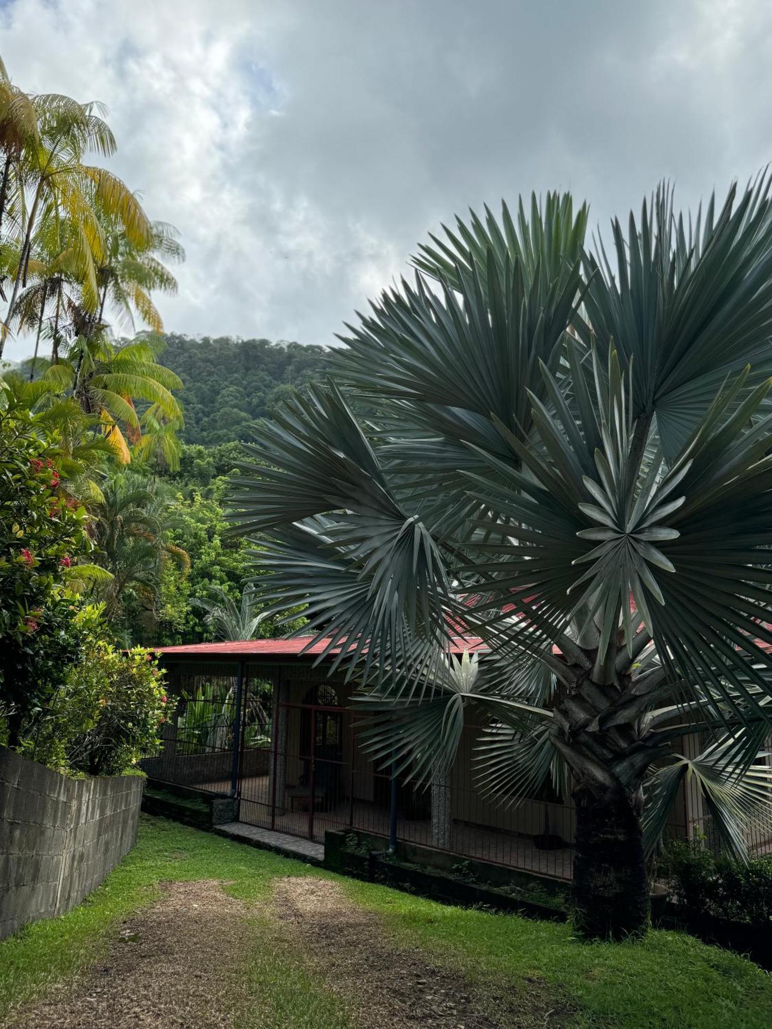 Casa Selvatica Holiday home San Luis (Osa, Puntarenas)