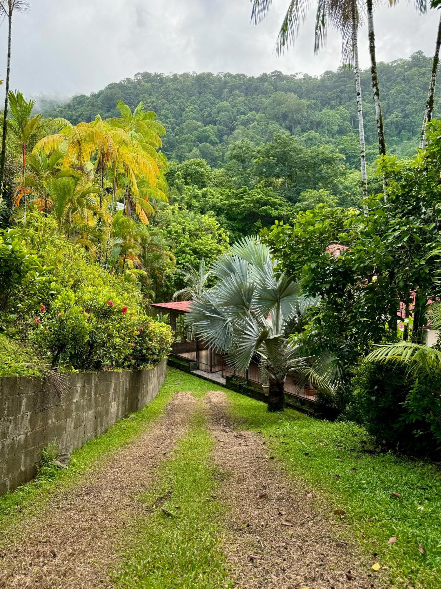 Casa Selvatica Holiday home *